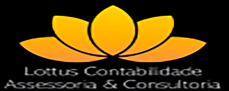 LOTTUS CONTABILIDADE ASSESSORIA & CONSULTORIA